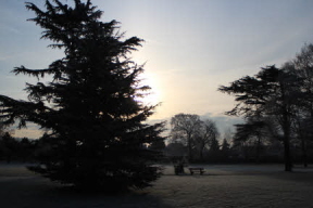 Early morning frost
MR=576x384pixels 8x5.3inches 72ppi
HR=3456x2304p 48x32in 72ppi Bury Knowle Park, Headington, Oxford